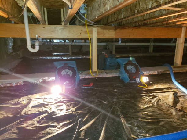 water mitigation